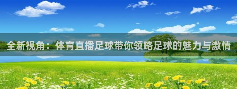 全新视角：体育直播足球带你领略足球的魅力与激情
