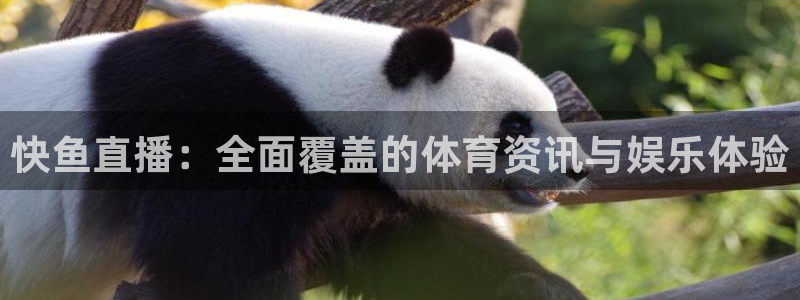 快鱼直播：全面覆盖的体育资讯与娱乐体验