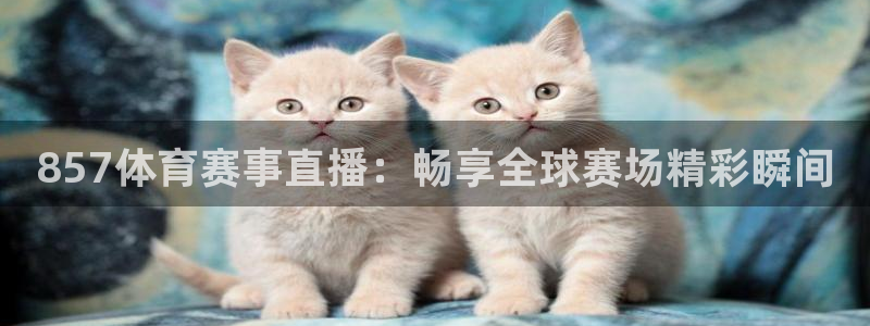 857体育赛事直播：畅享全球赛场精彩瞬间