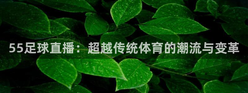 55足球直播：超越传统体育的潮流与变革