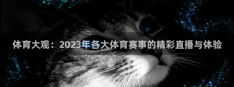 体育大观：2023年各大体育赛事的精彩直播与体验