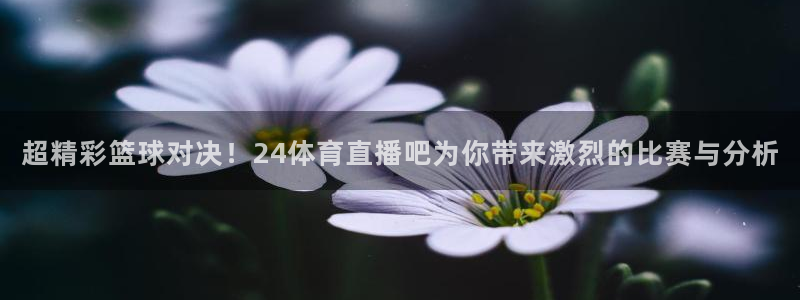超精彩篮球对决！24体育直播吧为你带来激烈的比赛与分析