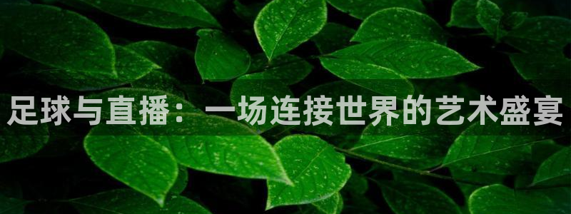 足球与直播：一场连接世界的艺术盛宴