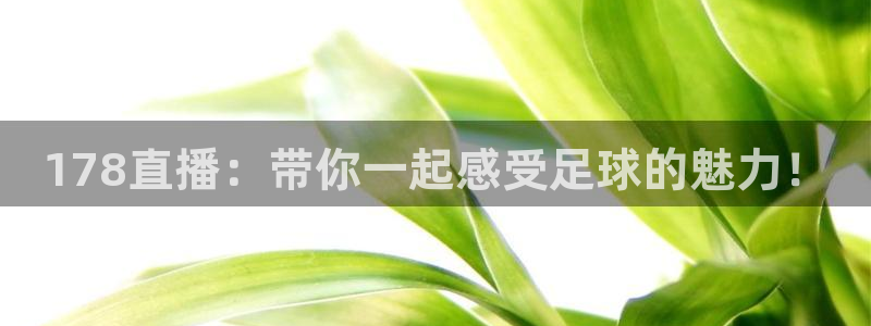 178直播：带你一起感受足球的魅力！