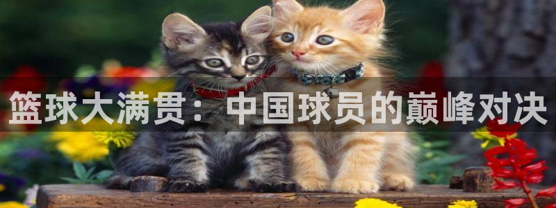 篮球大满贯：中国球员的巅峰对决