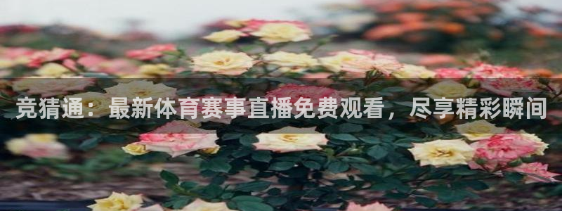 竞猜通：最新体育赛事直播免费观看，尽享精彩瞬间