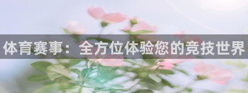 体育赛事：全方位体验您的竞技世界