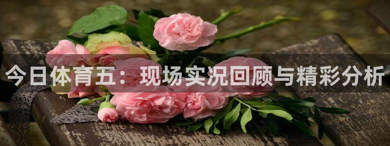 今日体育五：现场实况回顾与精彩分析