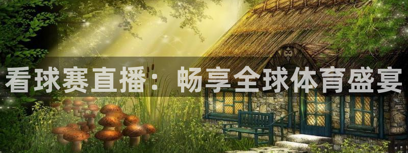 看球赛直播：畅享全球体育盛宴