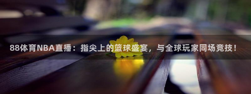 88体育NBA直播：指尖上的篮球盛宴，与全球玩家同场竞技！