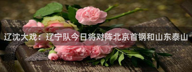 辽沈大戏：辽宁队今日将对阵北京首钢和山东泰山