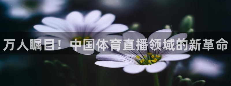 万人瞩目！中国体育直播领域的新革命