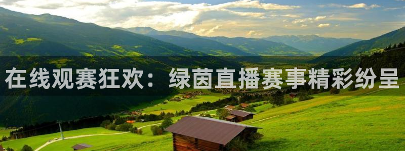 在线观赛狂欢：绿茵直播赛事精彩纷呈