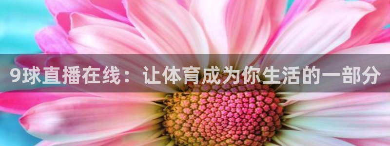 9球直播在线：让体育成为你生活的一部分