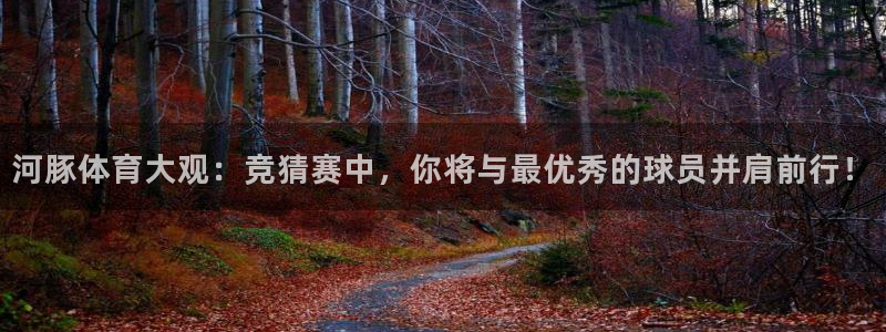 河豚体育大观：竞猜赛中，你将与最优秀的球员并肩前行！