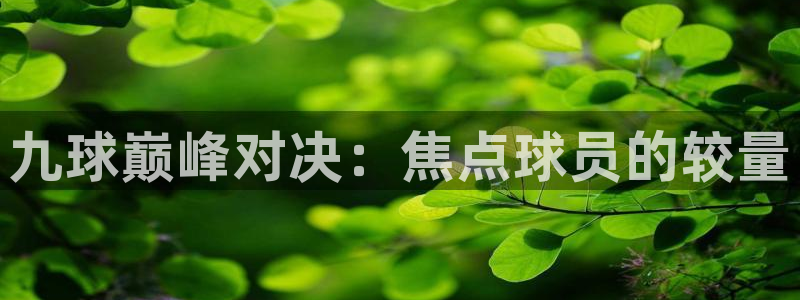 九球巅峰对决：焦点球员的较量