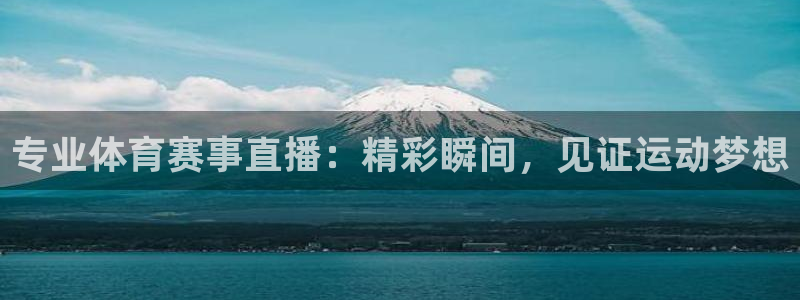 专业体育赛事直播：精彩瞬间，见证运动梦想