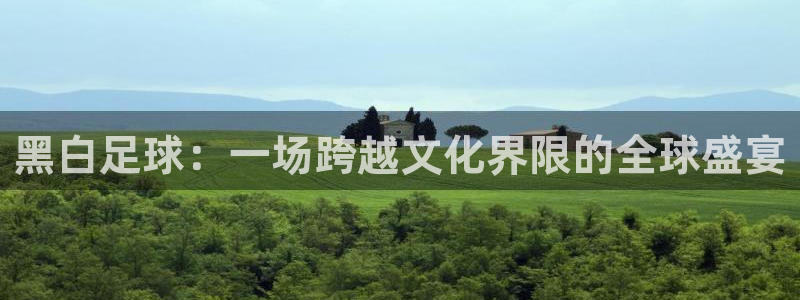 黑白足球：一场跨越文化界限的全球盛宴