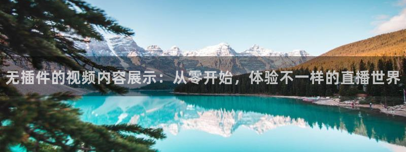 无插件的视频内容展示：从零开始，体验不一样的直播世界