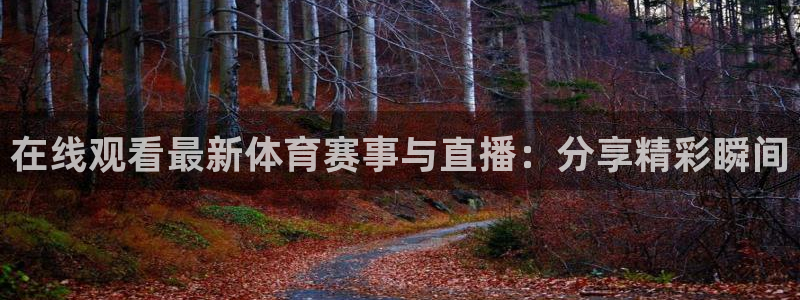 在线观看最新体育赛事与直播：分享精彩瞬间