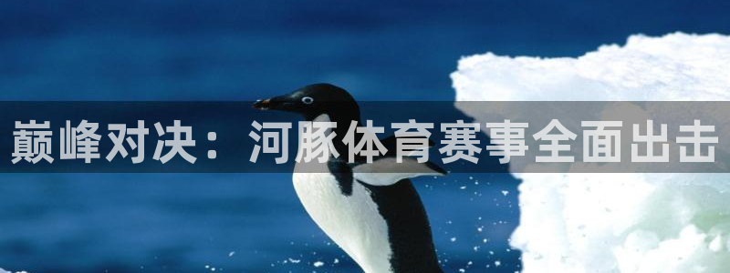 巅峰对决：河豚体育赛事全面出击
