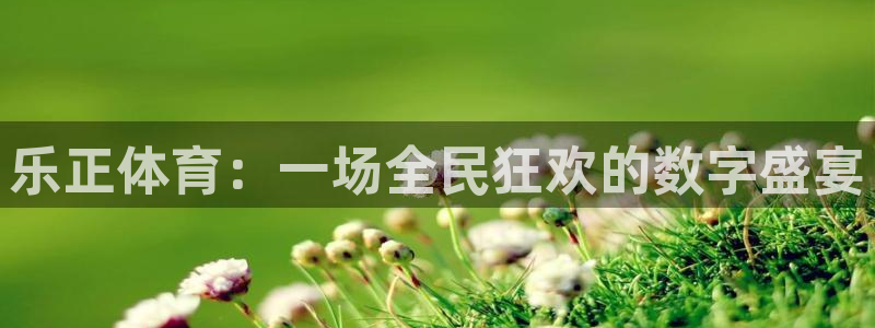 乐正体育：一场全民狂欢的数字盛宴
