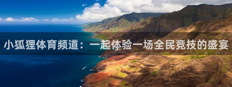 小狐狸体育频道：一起体验一场全民竞技的盛宴
