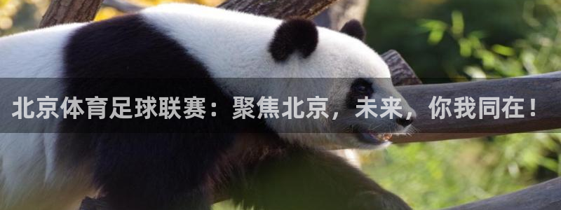北京体育足球联赛：聚焦北京，未来，你我同在！