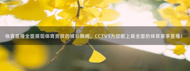 体育直播全面展现体育竞技的精彩瞬间，CCTV5为您献上最全面的体育赛事直播！