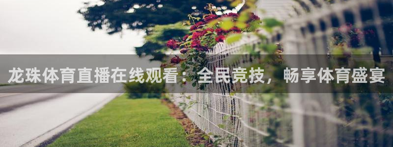龙珠体育直播在线观看：全民竞技，畅享体育盛宴