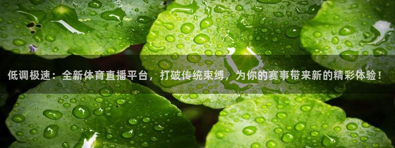 低调极速：全新体育直播平台，打破传统束缚，为你的赛事带来新的精彩体验！