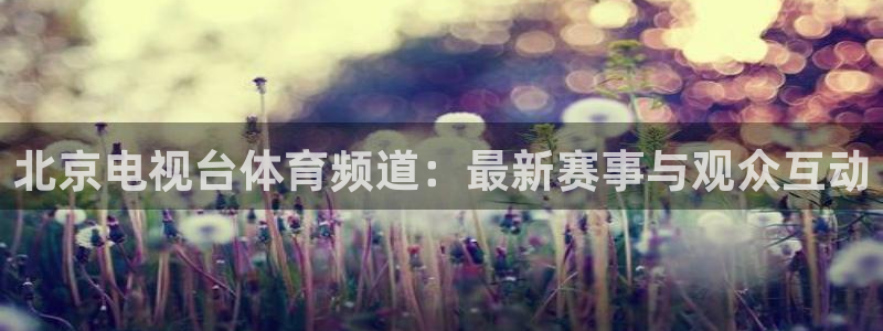 北京电视台体育频道：最新赛事与观众互动