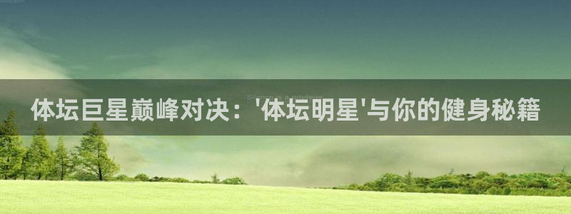 体坛巨星巅峰对决：\'体坛明星\'与你的健身秘籍