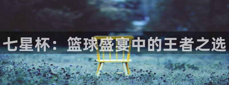 七星杯：篮球盛宴中的王者之选