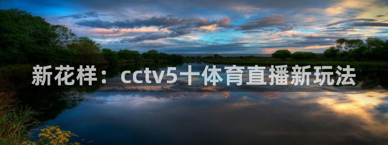 新花样：cctv5十体育直播新玩法