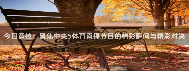 今日竞技：聚焦中央5体育直播节目的精彩瞬间与精彩对决