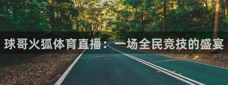 球哥火狐体育直播：一场全民竞技的盛宴
