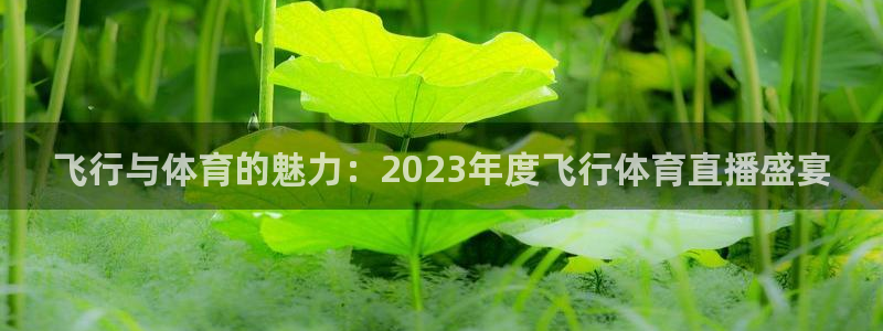 飞行与体育的魅力：2023年度飞行体育直播盛宴
