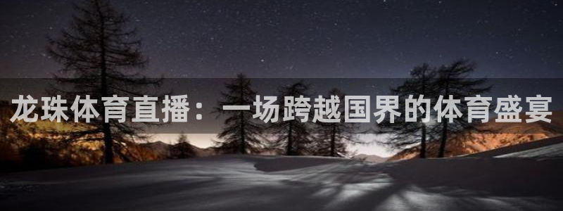 龙珠体育直播：一场跨越国界的体育盛宴