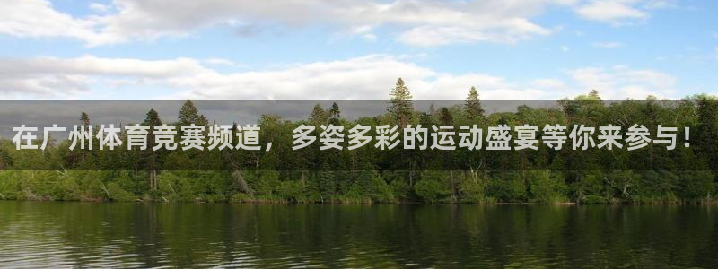 在广州体育竞赛频道，多姿多彩的运动盛宴等你来参与！