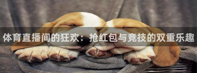 体育直播间的狂欢：抢红包与竞技的双重乐趣