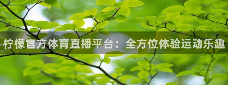 柠檬官方体育直播平台：全方位体验运动乐趣
