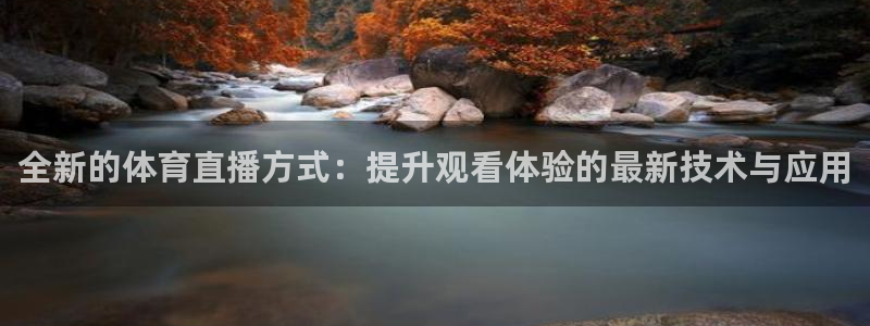 全新的体育直播方式：提升观看体验的最新技术与应用