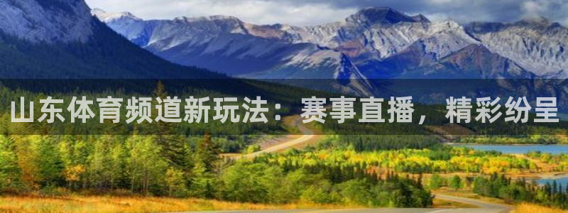 山东体育频道新玩法：赛事直播，精彩纷呈