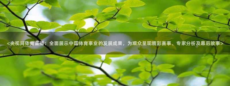 <央视网体育直播：全面展示中国体育事业的发展成果，为观众呈现精彩赛事、专家分析及幕后故事>