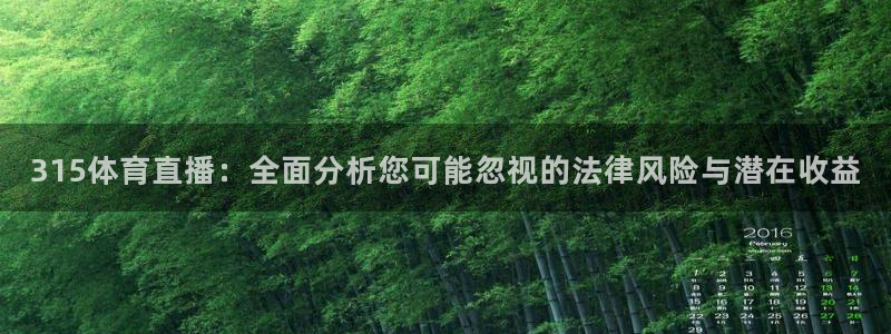 315体育直播：全面分析您可能忽视的法律风险与潜在收益