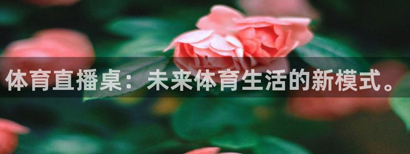 体育直播桌：未来体育生活的新模式。