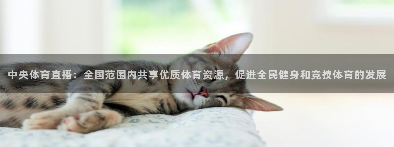 中央体育直播：全国范围内共享优质体育资源，促进全民健身和竞技体育的发展