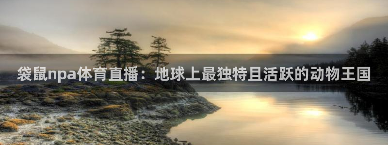 袋鼠npa体育直播：地球上最独特且活跃的动物王国