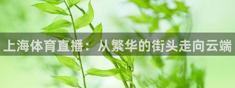 上海体育直播：从繁华的街头走向云端